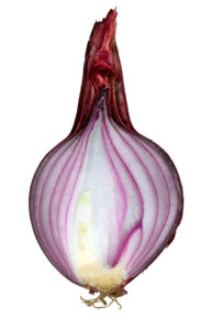 By Amada44 (Own work) [Public domain], via Wikimedia Commons